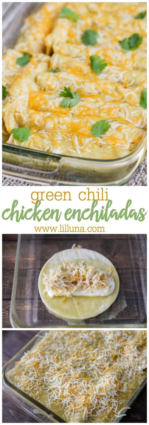 Chili Chicken Enchiladas, Green Chili Chicken Enchiladas, Green Chile Enchilada Sauce, Green Chile Enchiladas, Green Chile Chicken Enchiladas, Chicken Enchiladas Recipe, Green Chili Chicken, Green Chile Chicken, Chicken Enchiladas Easy