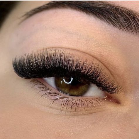 Fuller Hybrid Lash Extensions, C Curl Cat Eye Lashes, Full Cat Eye Lash Extensions, Volume Lash Extensions Cat Eye, Full Volume Lash Extensions, C Curl Lash Extensions, Short Full Lash Extensions, C Curl Eyelash Extensions, Short Volume Lash Extensions