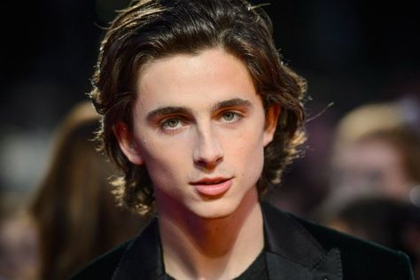 Men, How to Grow Out Your Hair With Minimum Awkwardness | Dapper Confidential Growing Out Hair Men, Hair Stages, Growing Out Hair, Growing Your Hair Out, Mens Haircut, Weight Reduction, Timothee Chalamet, Grow Out, Boy Hairstyles