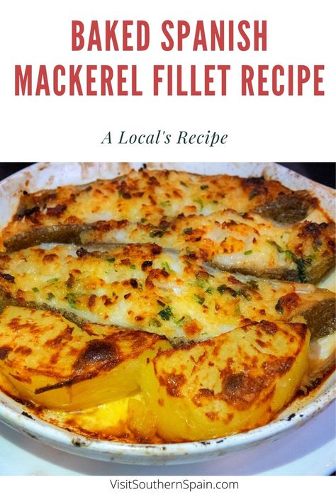 Spanish Mackeral Recipes, Recipes With Mackerel, Mackrell Fish Recipes Dinners, How To Cook Spanish Mackerel, Baked Mackerel Recipe, Healthy Mackerel Recipe, How To Cook Mackerel Fish, Spanish Mackerel Fish Recipes, Mackrell Recipes Baked