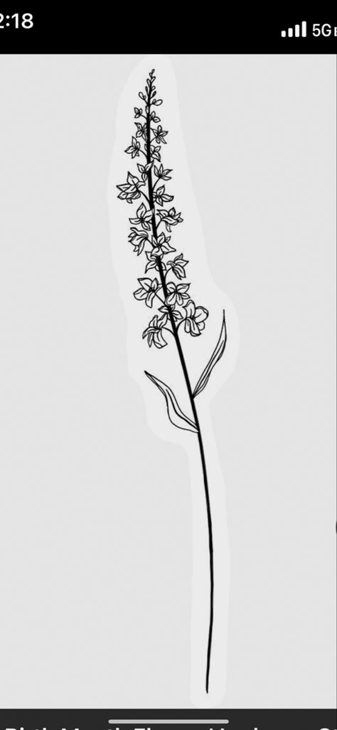 Long Stem Flower Tattoo, Long Flower Tattoo, Larkspur Tattoo, Larkspur Flower, Mom Body, Long Stem Flowers, Flower Words, Plant Tattoo, Long Flowers