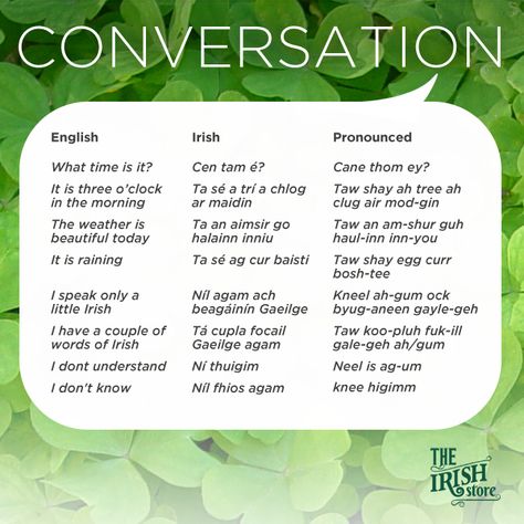 Everyday Conversation Irish Phrases Recipes Dumplings, Irish Gaelic Language, Irish Phrases, Irish Slang, Malaysian Recipes, Armenian Food, Noodle Soups, Food Korean, Gaelic Words