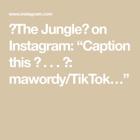 🍃The Jungle🍃 on Instagram: “Caption this 😅 . . . 🎥: mawordy/TikTok…” Caption For Jungle Pic, Jungle Quotes, Jungle Book King Louie, Jungle Emperor Leo, Uk Jungle Music, Photo And Video, Instagram