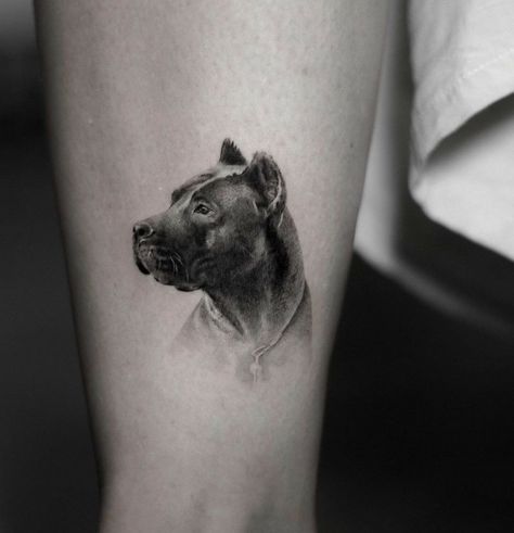 Dojo Tattoo, Pet Portrait Tattoos, Dog Portrait Tattoo, Pitbull Tattoo, Portrait Tattoos, Corso Dog, Cane Corso Dog, Different Artists, Dog Tattoo