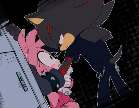 Bad Boy X Good Girl, Shadamy Comics, Sonic Videos, Shadow And Amy, Whimsical Art Journal, Sonic Heroes, Sonic And Amy, Sonic Funny, Sonic Fan Characters