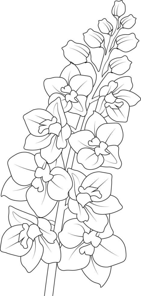 Delphinium flower line art, vector illustration, hand-drawn pencil sketch, coloring book, and page, isolated on white background clip art. How To Draw Delphinium, Flower Pencil Drawings Sketches, Delphinium Tattoo Design, Line Art Flowers Botanical Illustration, Flower Drawings Pencil, Delphinium Flower Drawing, Delphinium Illustration, Delphinium Painting, Line Work Flowers