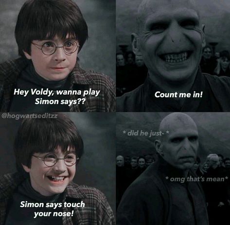 Funny Hp Memes Hilarious, Hery Potter, Harry Potter Funny Pictures, Citate Harry Potter, Harry Potter Parody, Glume Harry Potter, Funny Harry Potter Jokes, Harry Potter Memes Hilarious, Heavy Metal Fashion