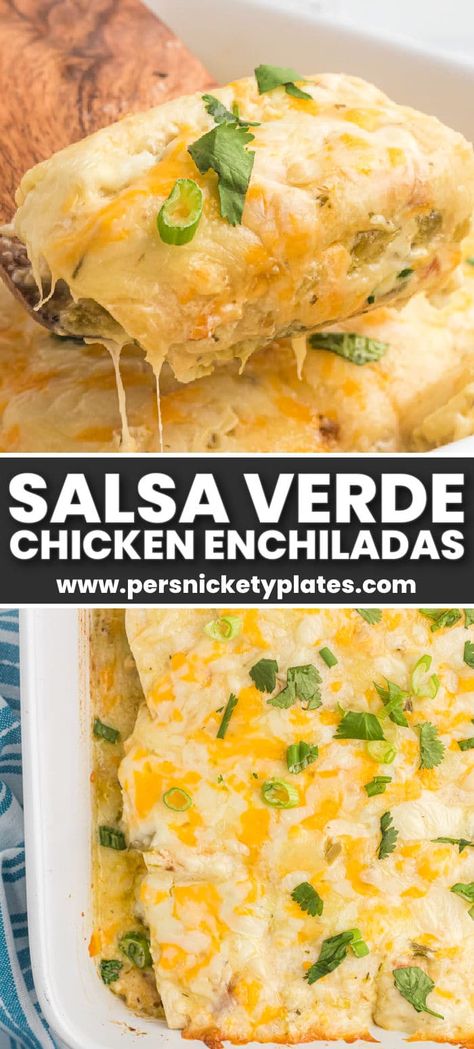 Fresh and flavorful salsa verde chicken enchiladas are made with tortillas stuffed with a creamy and vibrant salsa verde sauce, tender shredded chicken and shredded cheese then baked with even more melty cheese on top. It’s the perfect easy dinner idea that can be made ahead and popped in the oven any night of the week! Salsa Enchiladas, Chicken Enchiladas With Salsa Verde, Enchiladas With Salsa Verde, Easy Salsa Verde, Verde Chicken Enchiladas, Salsa Verde Enchiladas, Enchiladas Beef, Enchiladas Verdes Recipe, Salsa Verde Chicken Enchiladas