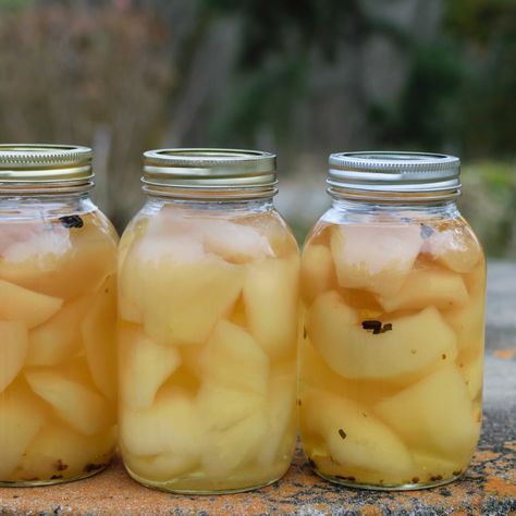 Pickled Pear Recipe - Brogdale Collections Can Pears, Can Apples, Pickled Pears, Pear Recipe, High Acid Foods, Canning Apples, Pickle Recipes, Canning Fruit, Canned Apples