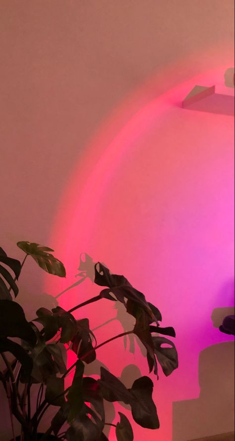 Pink Neon, Pink Aesthetic, Make Money, Neon, Rainbow, Money, Wall, Pink