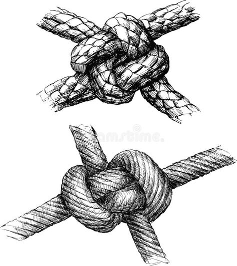 Knot stock vector. Illustration of ... Rope Knot Drawing, Knot Reference, Knot Illustration, Knot Drawing, Rope Drawing, Micron Pen Art, Strong Knots, Storyboard Ideas, Knot Tattoo