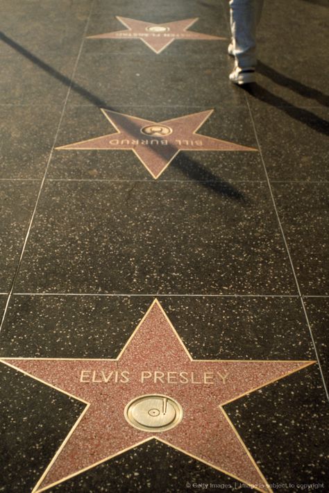 Star Walk Of Fame, Walk Of Fame Stars, Elvis Tcb, Elvis Graceland, Elvis Memorabilia, Elvis Presley Family, La Life, Elvis Presley Pictures, Elvis And Priscilla