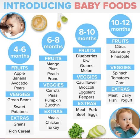 Baby Food Timeline, Introducing Baby Food, Baby Weaning Foods, Baby Food Guide, Baby Meal Plan, Baby Food Schedule, Easy Homemade Baby Food, Baby Led Weaning First Foods, Baby Solid Food