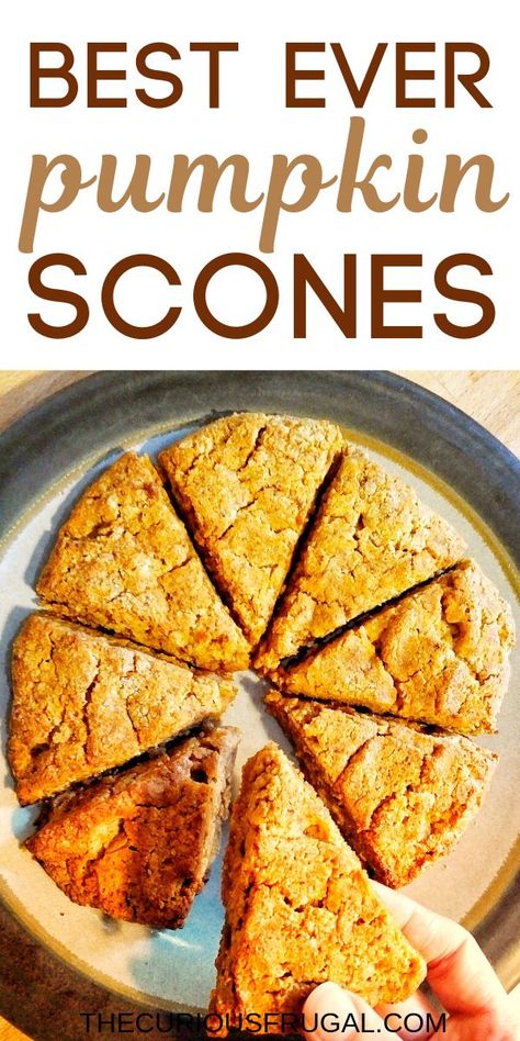 This pumpkin scones recipe is for gluten-free pumpkin scones. They are moist and delicious and not at all dry like some gluten-free baking can be! I’m thrilled with how they turned out! They also happen to be vegan scones and are made with almond flour so they’re packed with protein. #vegan #pumpkinrecipes #thanksgivingfood #halloweenbaking #pumpkinscones #glutenfree #paleo refined sugar free recipes | refined sugar free desserts | paleo scones recipe Scones Pumpkin, Paleo Scones, Pumpkin Scones Recipe, Refined Sugar Free Desserts, Dessert Pumpkin, Vegan Scones, Gluten Free Scones, Refined Sugar Free Recipes, Pumpkin Scones