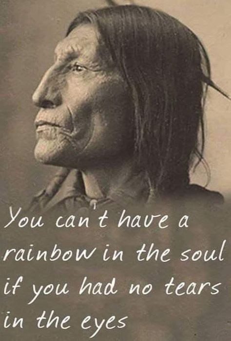 Indian Proverbs Wisdom, Native American Quotes Wisdom, Walk Two Moons, Native American Proverbs, Native Quotes, American Indian Quotes, Indian Proverbs, American Proverbs, Native American Prayers