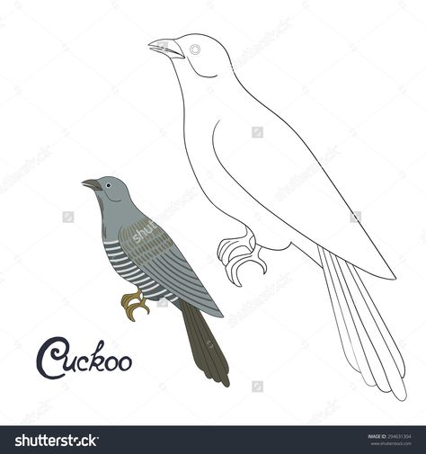 Cuckoo Bird Tattoo, Bird Drawing For Kids, Draw Birds, Bird Drawing, Play School, Birds Tattoo, Bird Drawings, Educational Games, Easy Kids