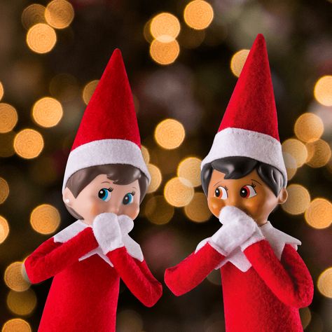 What Happens If Our Scout Elf Is Accidentally Touched? | Elf on the Shelf Global Elf On The Shelf Backgrounds, Christmas Elf Aesthetic, Elf Is Back Ideas, Thanksgiving Napkin Folds, Christmas Pfps, Simple Thanksgiving Table Decor, Paper Napkin Folding, Elf Shelf, Hands Aesthetic