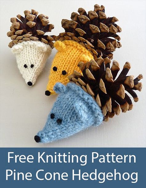 Pine Cone Hedgehog - Free Pattern | Amazing Knitting | Bloglovin’ Pine Cone Hedgehog, Knitted Hedgehog, Christmas Knitting Patterns Free, Loop Knitting, Animal Knitting Patterns, Scrap Yarn, Knitting Patterns Toys, Cones Crafts, Christmas Knitting Patterns