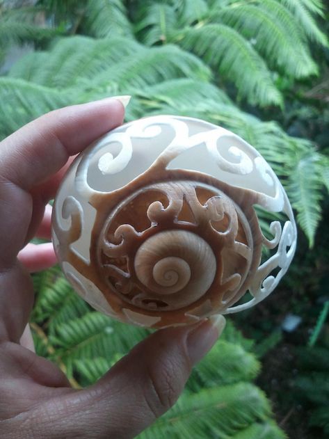 Shell Sculpture, Dremel Crafts, Snail Art, Art Coquillage, Seashell Painting, Meaningful Beauty, Nautilus Shell, Painted Shells, Beauty And Health