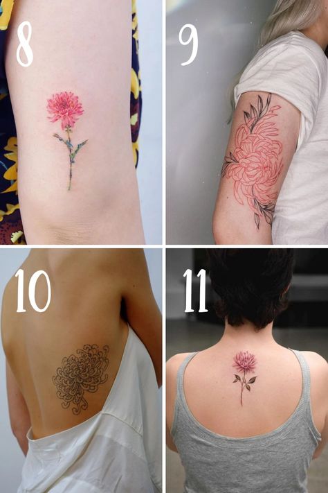 November Birth Flower Tattoos {Chrysanthemums} - TattooGlee Tiny Chrysanthemum Tattoo, Mums Tattoo Flower Chrysanthemums, November Tattoo Ideas Symbols, November Birth Flower Tattoo Chrysanthemums, Crysthanamum Tattoo, November Flower Tattoo Chrysanthemums, November Birth Flower Tattoo, November Flower Tattoo, Chrysanthemum Flower Tattoo