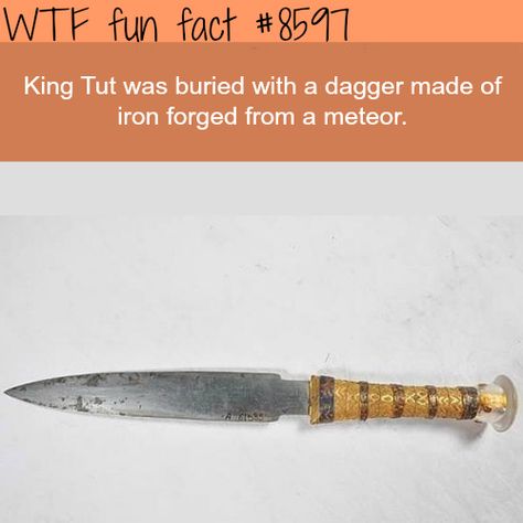 King Tut’s dagger made of iron from a meteor - WTF fun facts What The Fact, Unusual Facts, Facts Funny, Creepy Facts, History Facts Interesting, Wow Facts, Unbelievable Facts, King Tut, Smart Things