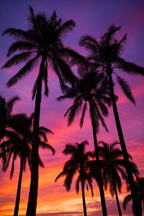 Palm trees silhouette outdoors nature. AI generated Image by rawpixel. | premium image by rawpixel.com Sunset Aesthetic Palm Trees, Palm Tree Phone Wallpaper, Palm Trees On Beach, La Palm Trees, 2025 Moodboard, Palm Tree Aesthetic, Trees Silhouette, Florida Palm Trees, Sunset Palm Trees