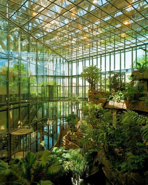 Universeum Science Center and Aquarium in Goteborg, Sweden by WINGARDH ARKITEKTKONTOR AB Goteborg Sweden, Aquarium Museum, Victorian Greenhouses, Science Centre, Inside Garden, Exhibition Centre, Gothenburg Sweden, Sweden Travel, Rain Forest