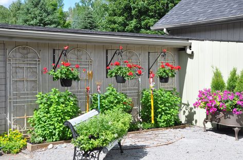 Three Dogs in a Garden: 10+ Ways to Dress up the Side of a Garage (or Wall) Side Of Garage Decorating Ideas, Garage Wall In Garden Ideas, Decorate Side Of Garage, Landscaping Along Garage Wall, Garage Exterior Side Wall Ideas, Garden Garage Wall Ideas, Garage Landscaping, Side Of Garage Landscaping Ideas, Hydrangea Petiolaris