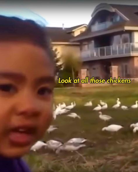 Look at all those Chickens Cursed Chicken Images, Look At All Those Chickens, Fried Chicken Meme Funny, Funny Chicken Memes, Funny Chicken Memes Humor, Chicken Running Meme, Superbowl Champions, Los Angeles Rams, Halloween Event