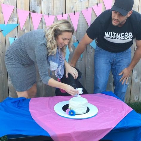 Dog Gender, Baby Information, Baby Gender Reveal Party, Gender Reveal Cake, Baby Arrival, Baby Gender Reveal, After Baby, Reveal Ideas, Baby Gender