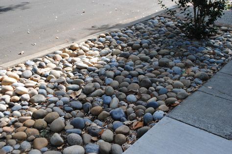 Sidewalk Landscaping Ideas, Backyard Grass Alternative, Sidewalk Landscaping, Grass Alternative, Mailbox Landscaping, River Rock Garden, Flagstone Path, No Grass Backyard, River Rock Landscaping