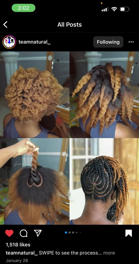 Healthy Black Hair, Braided Twist, Natural Updo, Flat Twists, Black Braided Hairstyles, Flat Twist Hairstyles, Gem Hair, Twist Updo, Hair Twists