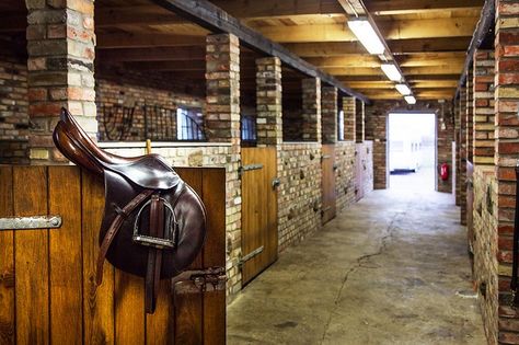 Horse Barn Stall Doors, 2 Stall Horse Barn With Tack Room, Stall Fronts Horse, Equine Stables, Kingscote Barn, Farm Animals Pictures, Shedrow Horse Barn, Horse Barn Ideas Stables, Dream Stables