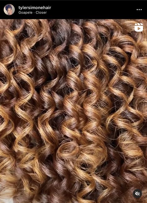 Golden Copper Hair, Hombre Hair, Curly Highlights, Highlights Curly, Dyed Curly Hair, Highlights Curly Hair, Golden Copper, Brown Hair Dye, Caramel Highlights