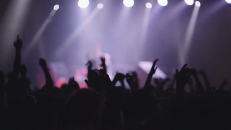 Concert Videos Aesthetic, Music Effect Video, Concert Background, Concerts Videos, Music Gif, Festival Video, Band Performance, Metal Concert, Concert Video