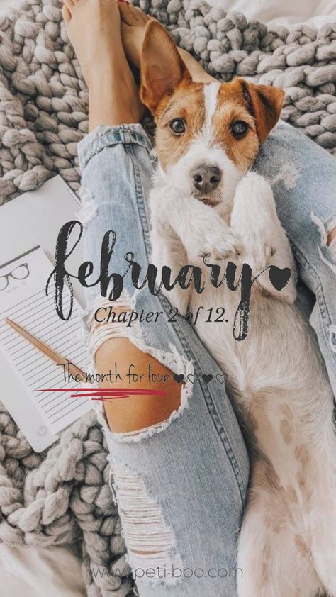 February - month of love - animal lovers - happy new month - inspirational quote - quote of the day February Chapter 2 Of 12, Chapter 2 Of 12, February Images, Posting Ideas, Monthly Quotes, Happy New Month, Insta Feed, Seasons Of The Year, Favorite Season