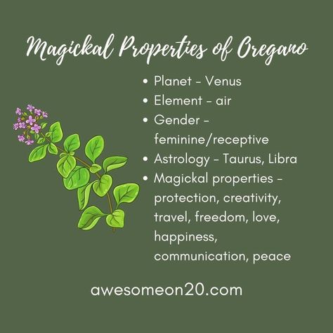 Oregano may be an herb you only associate with Italian food, but it has its own spiritual and healing properties that go way beyond pizza. Let's learn more about how to use oregano in witchcraft. #oregano #kitchenwitchcraft #witchcraft Turkish Pide, Kitchen Magick, Kitchen Witch Recipes, Magickal Herbs, Medicinal Herbs Garden, Green Witchcraft, Magic Spell Book, Kitchen Witchery, Magic Herbs