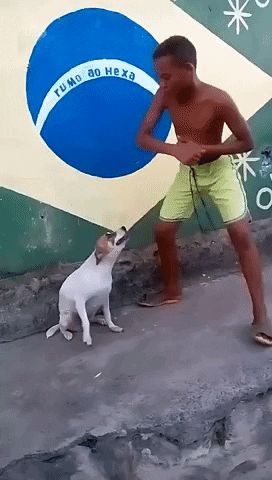 Dogs Dancing, Brazil Dance, Funny Baby Boy, Kids Feelings, Work Quotes Funny, Lambada, Funny Boy, Funny Phrases, Funny Picture Quotes