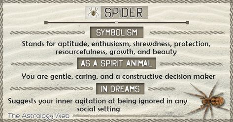 Spider Meaning and Symbolism | The Astrology Web Spider Spirit Animal, Spider Meaning, Spider Symbolism, Animal Totem Spirit Guides, Witchy Business, Spirit Animal Meaning, Totem Animals, Animal Meanings, Animal Tarot