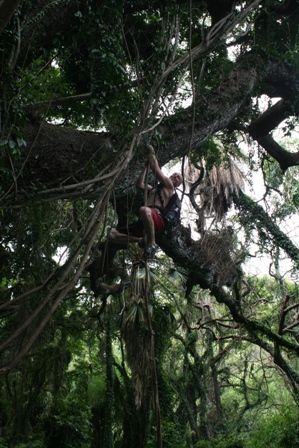 Nature Deficit Disorder: The Top 10 Reasons To Go Outside Nature Deficit Disorder, Florida Native Plants, Outdoor Learning, Go Outdoors, Free Range, 10 Reasons, Outdoor Play, Native Plants, Go Outside