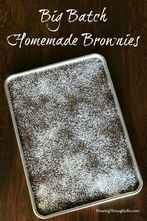 Large sheet pan of homemade brownies with confectioners sugar and text Big Batch Brownies, Brownies For A Crowd, Dessert To Feed A Crowd, Easy Chocolate Dessert, Ohio Food, Brownies From Scratch, Pan Cookies, Brownies Recipe Homemade, Easy Chocolate Desserts