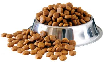 Dog food: Premium kibble options that your dog will love Best Dry Dog Food, Pet Food Packaging, Grain Free Dog Food, Food Dog, Dog Food Brands, Best Dog Food, Dog Biscuits, Homemade Dog Food, Croquettes