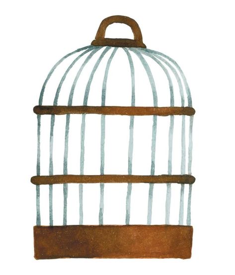 Watercolor drawing, old bird cage. vintage illustration Bird Cage Illustration, Cage Illustration, Old Bird Cage, Cage Drawing, Bird Cage Vintage, Illustration Advertisement, Watercolor Drawing, Bird Cage, Vintage Illustration