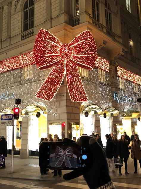 Vienna Christmas Photo Ideas, Hotel Christmas Decorations Lobbies, Vienna Christmas Aesthetic, Minimalistic House, Door Painting Ideas, Bergdorf Goodman Christmas Windows, Entry Organizer, Sliding Gate Design, Gate For Stairs