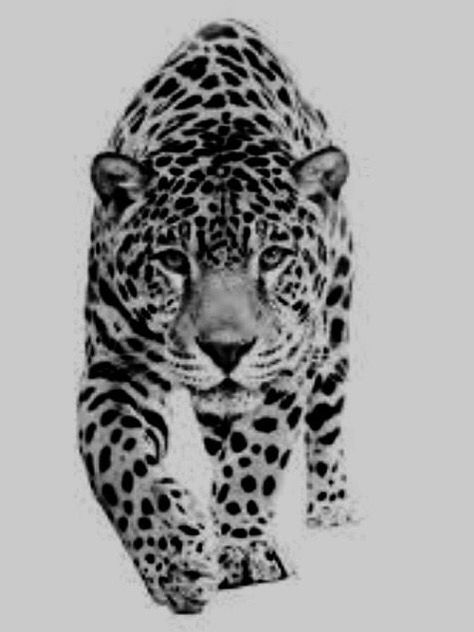 Leopard Tattoo Ideas, Leopard Print Tattoos, Animals And Pet Supplies, Leopard Tattoo, Big Cat Tattoo, Jaguar Tattoo, Leopard Tattoos, Jaguar Animal, Leopard Art