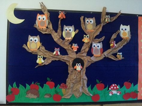 Owls Bulletin Board Owl Trunk Or Treat, Tree Bulletin Board Ideas, Owl Bulletin Board Ideas, Nocturnal Animals Kindergarten, Fall Decor Paper, Owl Bulletin Board Ideas Preschool, Owl Birthday Board Classroom, Owl Preschool Theme Classroom Decor, Owl Fall Bulletin Board