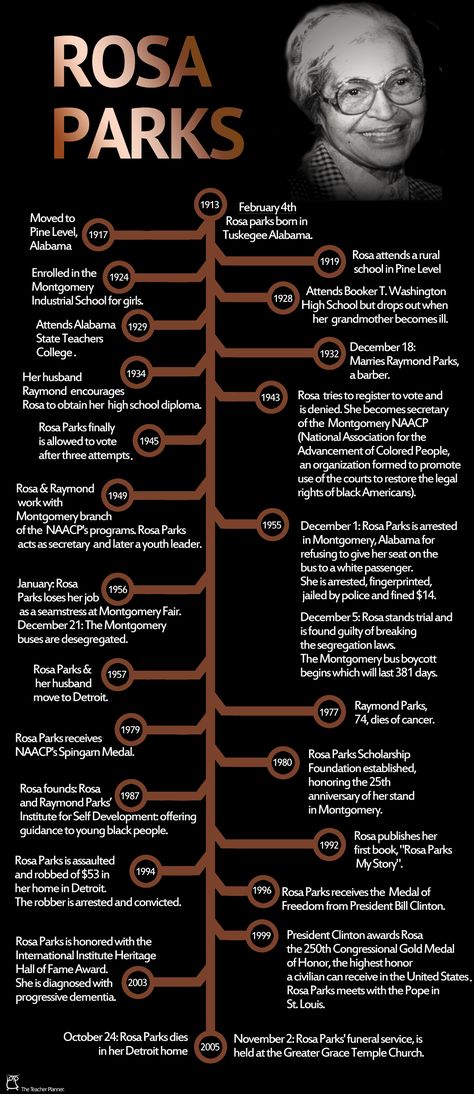 57th anniversary of Rosa Parks' "sit" for civil rights Rosa Parks Project, Rosa Parks Timeline, History Revision, American History Projects, Rosa Park, Family History Quotes, American History Timeline, Nasa History, African American History Facts