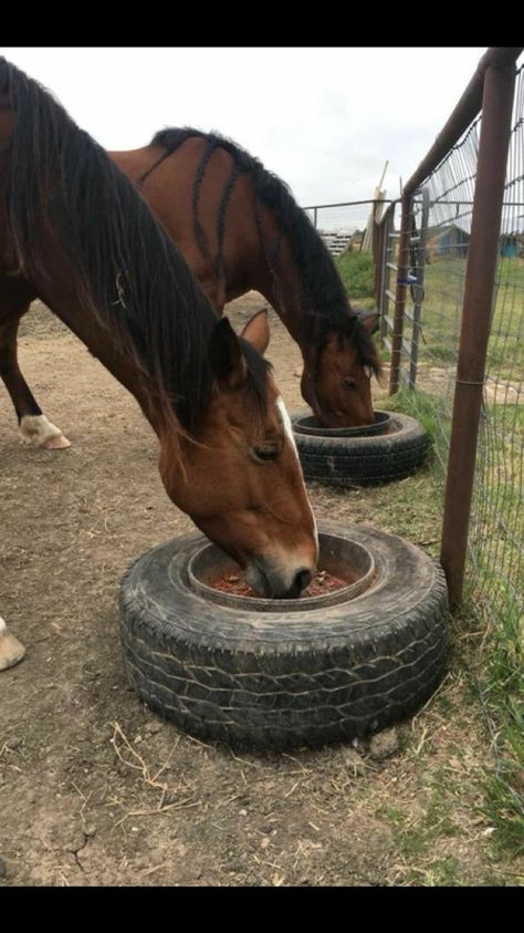 Paddock Paradise Ideas, Horse Barn Ideas, Horse Feeding, Horse Feeder, Horse Paddock, Horse Farm Ideas, Dog Bags, Diy Horse Barn, Horse Barn Ideas Stables