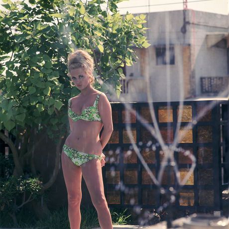 Director John Frankenheimer Faye Dunaway Editorial Stock Photo - Stock Image | Shutterstock Editorial Kibbe Celebrities, Welcome To The 60s, Megan Draper, 1960s Summer, Marcia Brady, Vintage Bikinis, 70s Icons, 70s Girl, Faye Dunaway