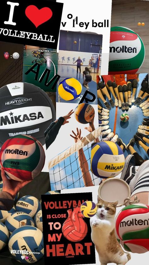 #voleyball #mikasa #molten Molten Volleyball Ball, Mikasa Ball, Molten Volleyball, Volleyball Posters, Volleyball Inspiration, Slayer Anime, Connect With People, Your Aesthetic, Creative Energy